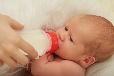 Similar image 21458849