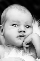 Similar image 21458854