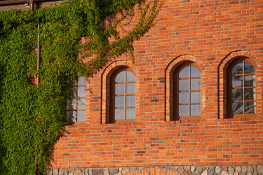 Similar image 21458395