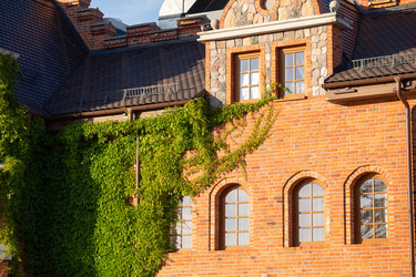 Similar image 21458397