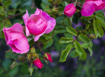 Similar image 21469144