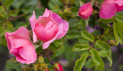 Similar image 21469146