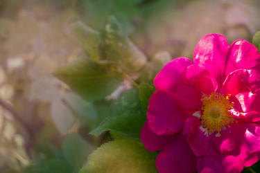 Similar image 21469158