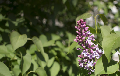 Similar image 21469159