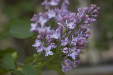 Similar image 21469167