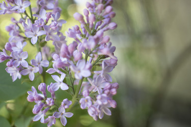 Similar image 21469169