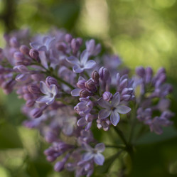 Similar image 21469171