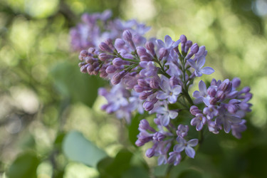 Similar image 21469173