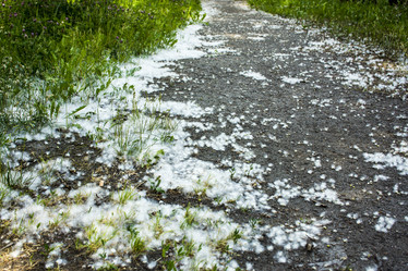 Similar image 21469178