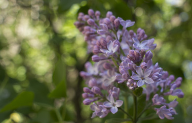 Similar image 21469179