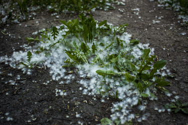 Similar image 21469182