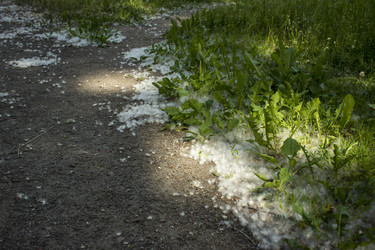 Similar image 21469184