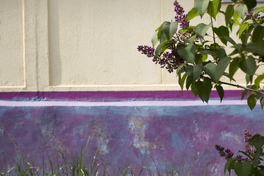 Similar image 21469189