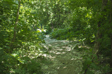 Similar image 21469190