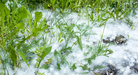 Similar image 21468759