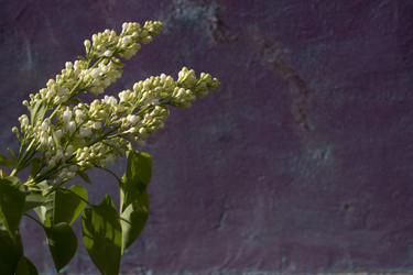 Similar image 21468760