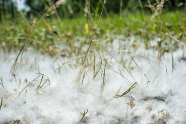 Similar image 21468761