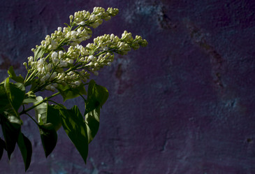 Similar image 21468764