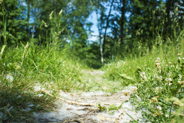 Similar image 21468766