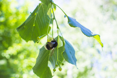 Similar image 21468767