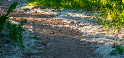 Similar image 21468771