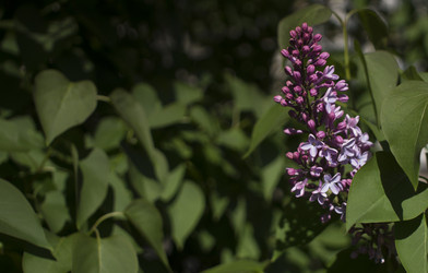 Similar image 21468960