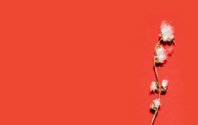 Similar image 21468961