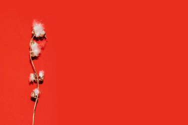 Similar image 21468962