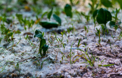 Similar image 21468966