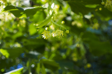 Similar image 21468967