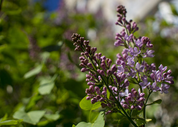 Similar image 21468968