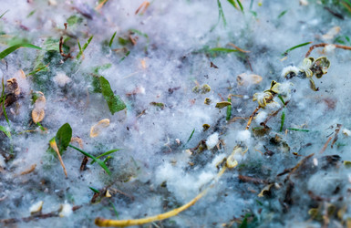 Similar image 21468969