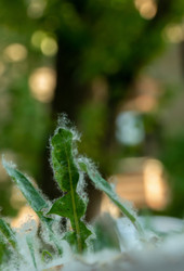 Similar image 21468971