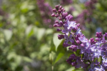 Similar image 21468972