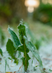 Similar image 21468973