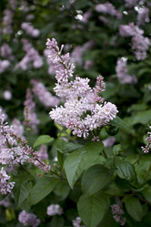 Similar image 21468974