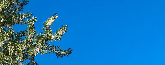 Similar image 21468977