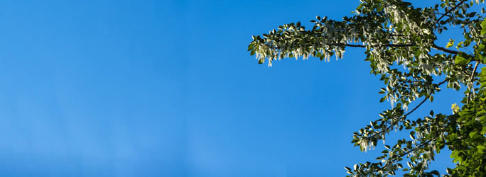 Similar image 21468984