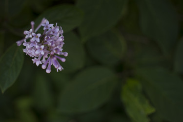 Similar image 21468994