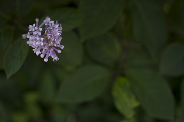 Similar image 21468996