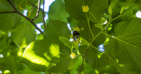 Similar image 21468999