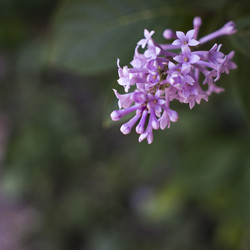 Similar image 21469000