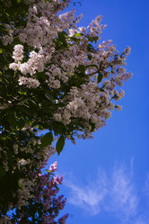 Similar image 21469004