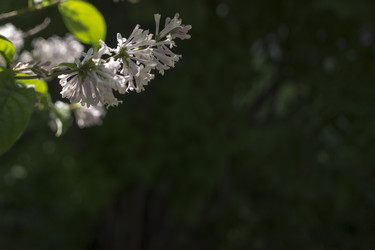 Similar image 21469010