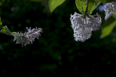 Similar image 21469014