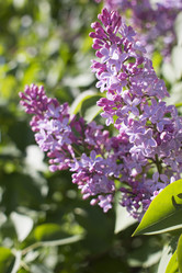 Similar image 21469019