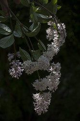 Similar image 21469021