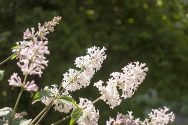 Similar image 21469023