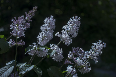 Similar image 21469025