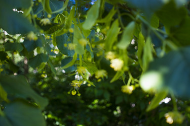 Similar image 21469027